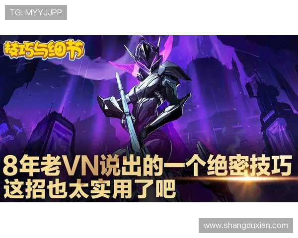 提升问鼎网址登录线路稳定性的方法与实用技巧确保游戏不中断体验