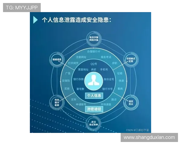 问鼎国际下载网站的安全保障措施，确保玩家下载过程中的信息安全与隐私保护